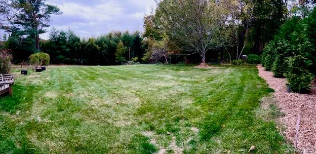 a view of outdoor space and yard
