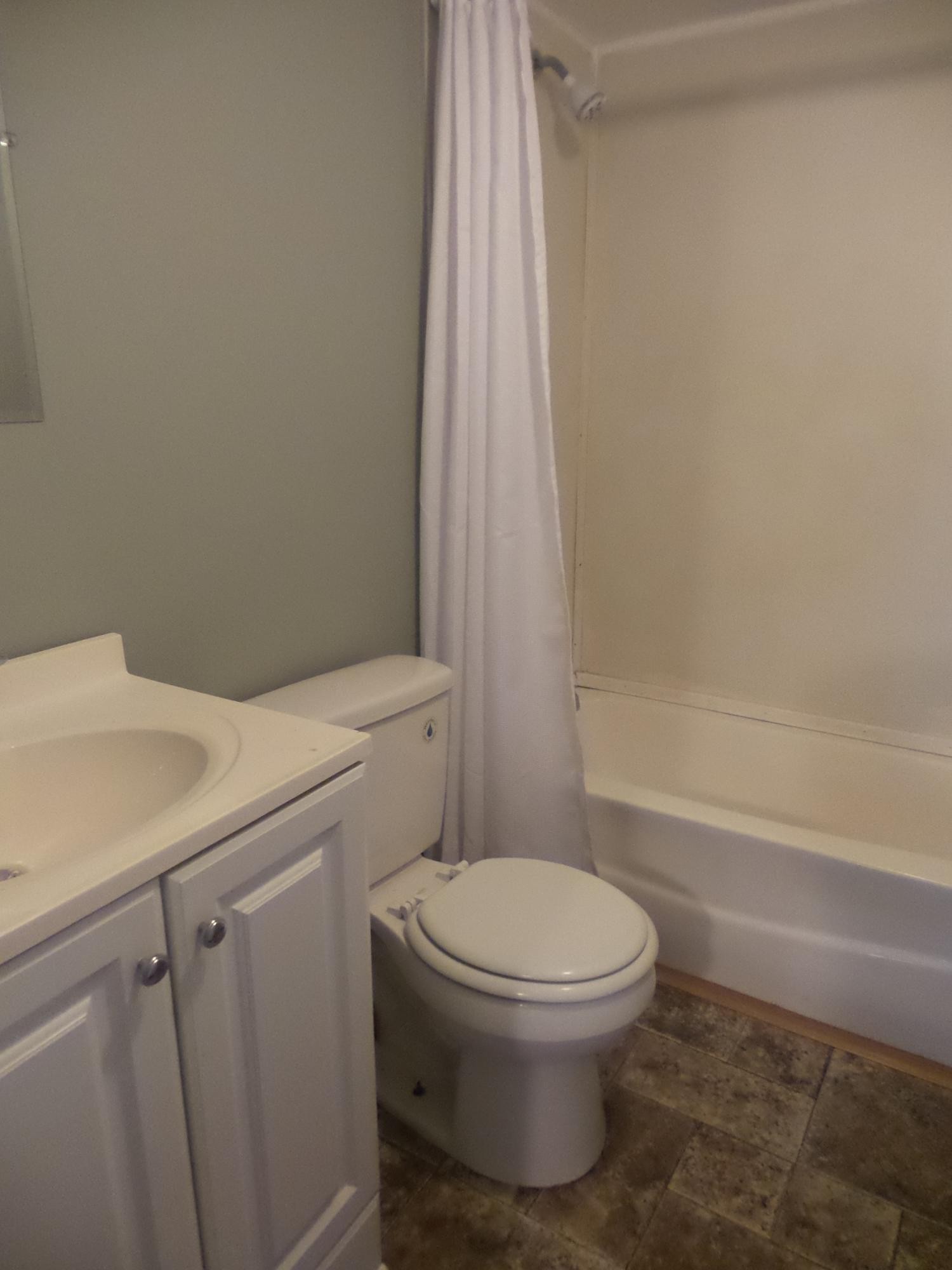 386 Ideal Valley Road Spring City, TN 37381 - Photo 11 of 12 a white toilet sitting next to a bath tub