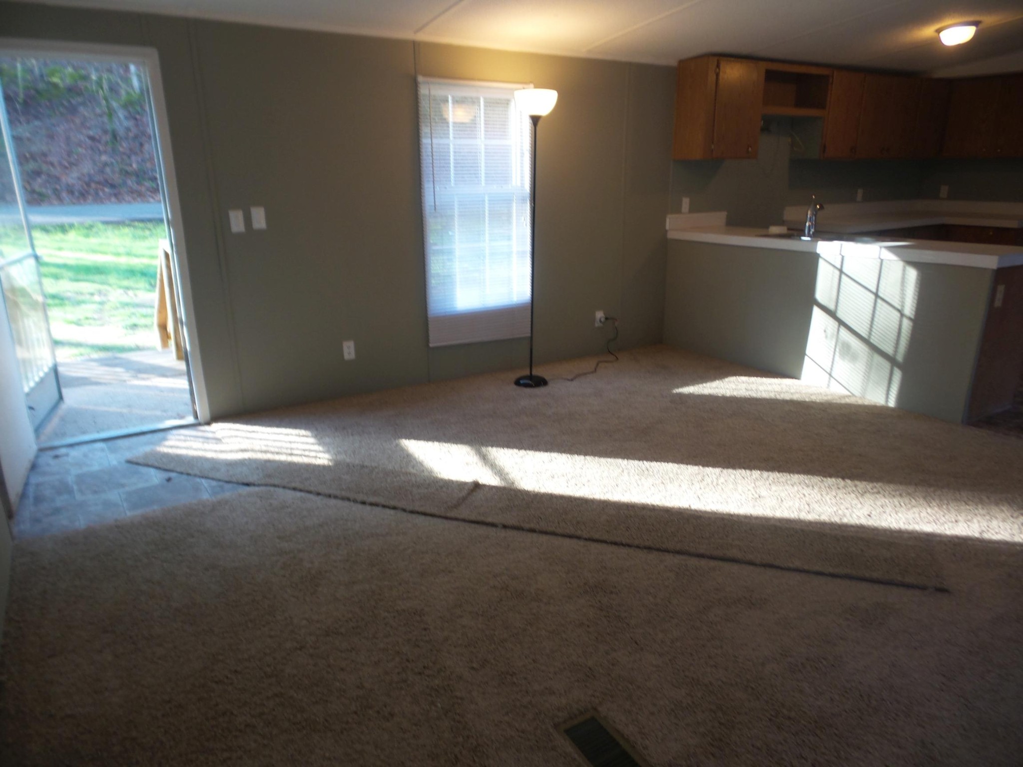 386 Ideal Valley Road Spring City, TN 37381 - Photo 3 of 12 a view of an empty room with a fireplace