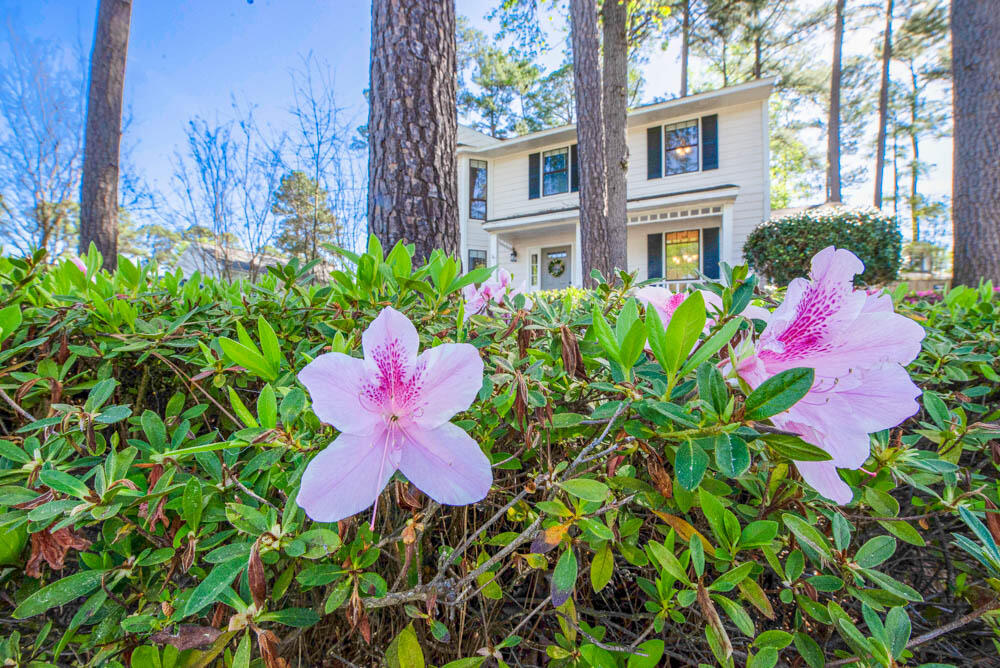 403 Windtree Court Martinez, GA 30907 - Photo 4 of 36 2-1 flowers