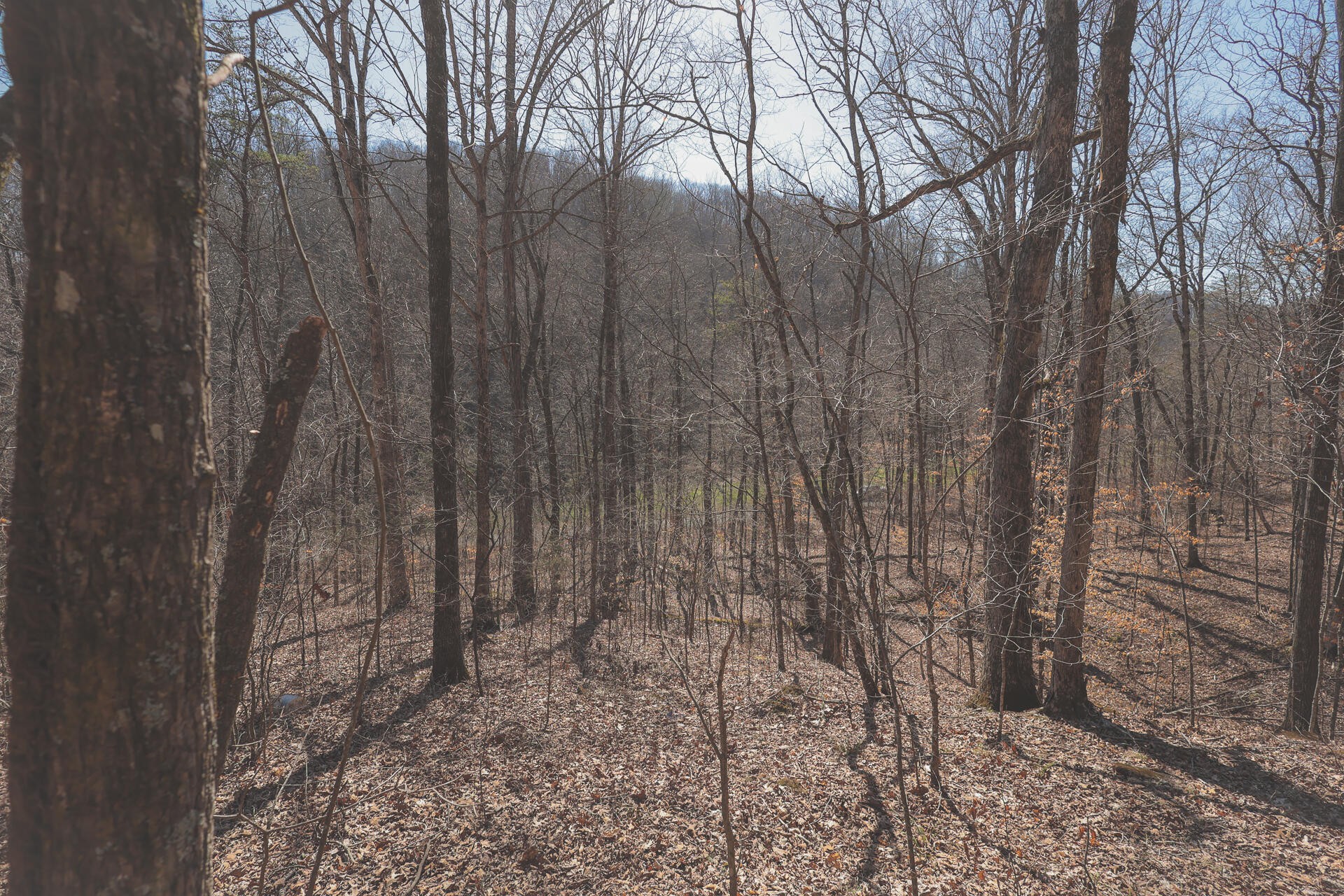 0 Fisher Hollow Road Georgetown, TN 37336 - Photo 58 of 81 Gallery Image 58