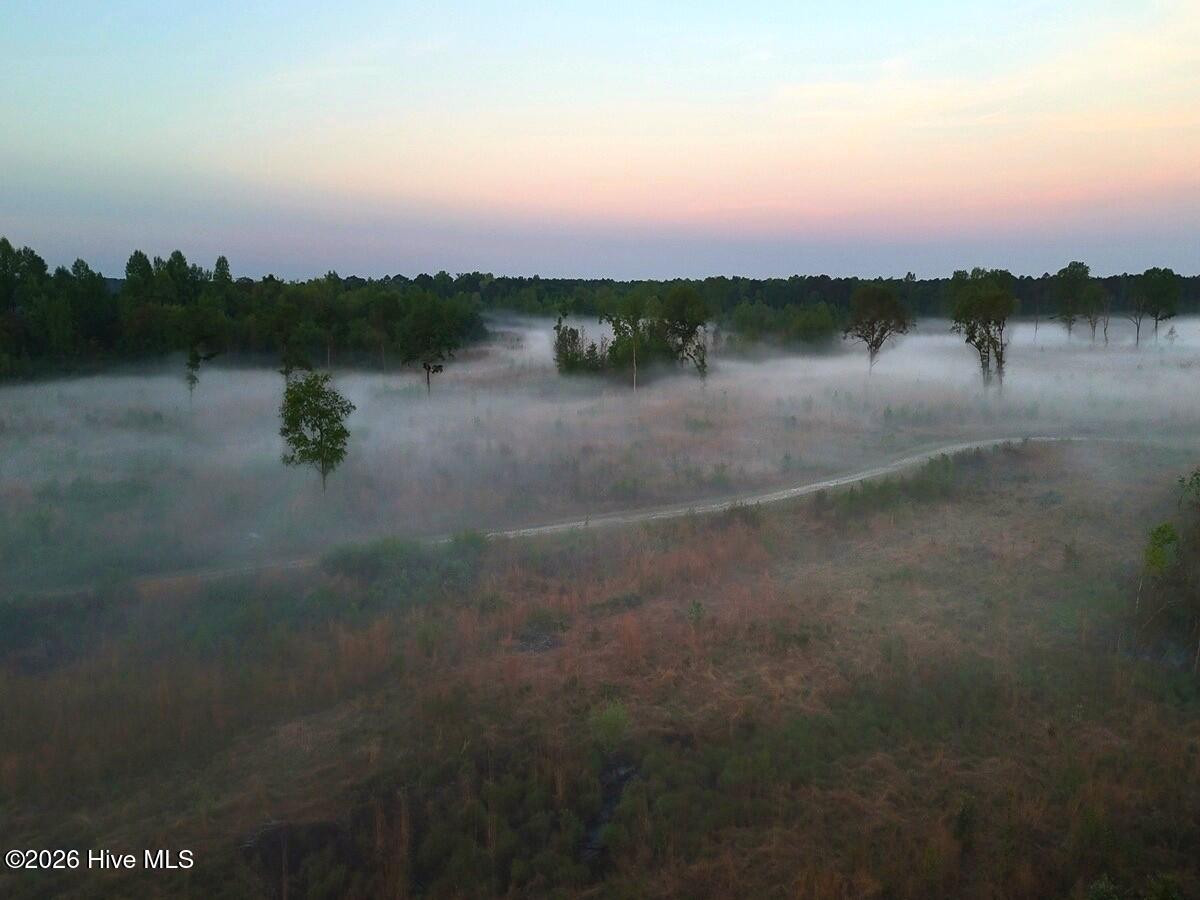 0 Durwood Evans Road Beulaville, NC 28518 - Photo 24 of 68 24.