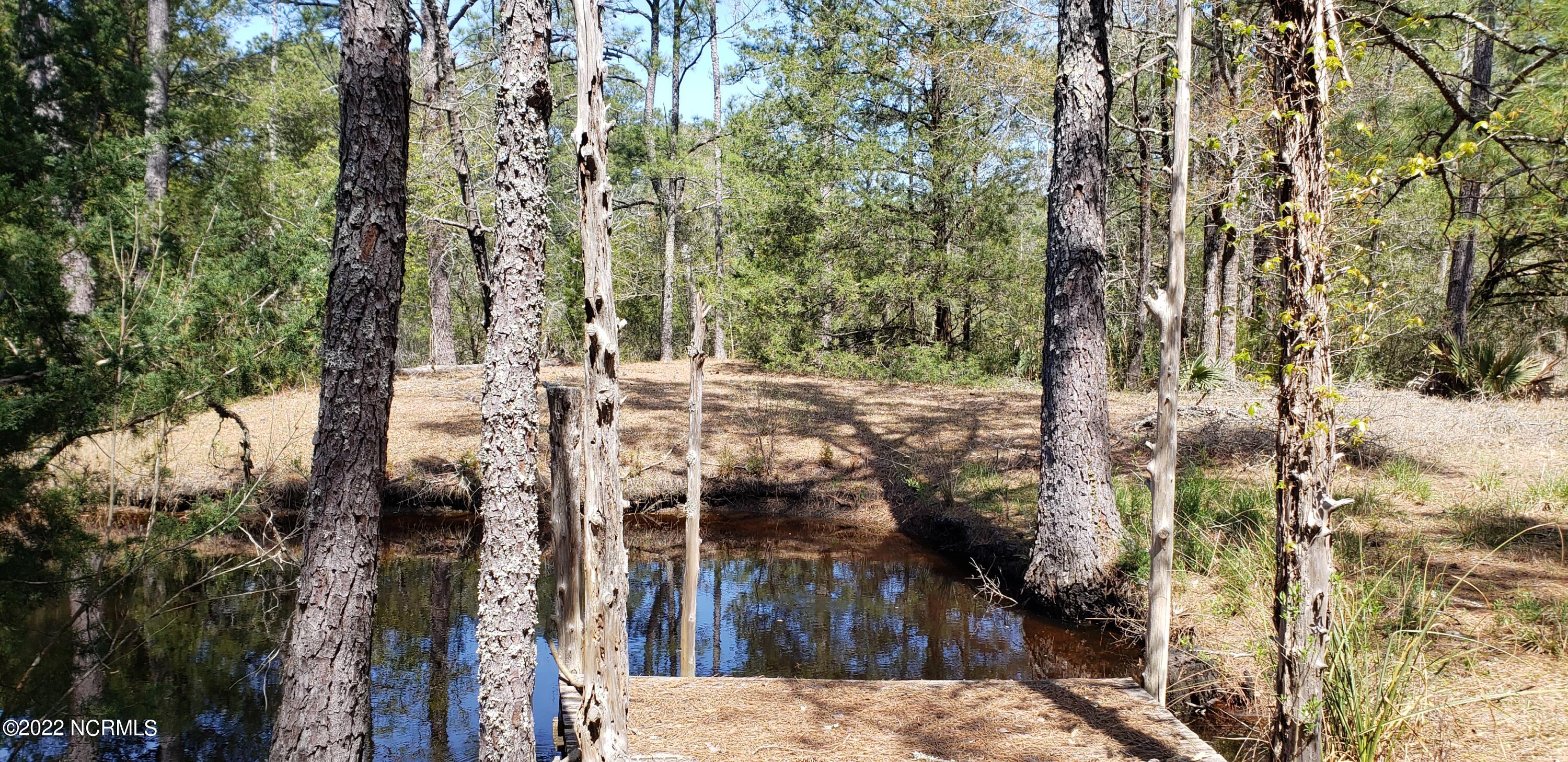 1337 Florence Road Merritt, NC 28556 - Photo 3 of 8 Dock and boat basin