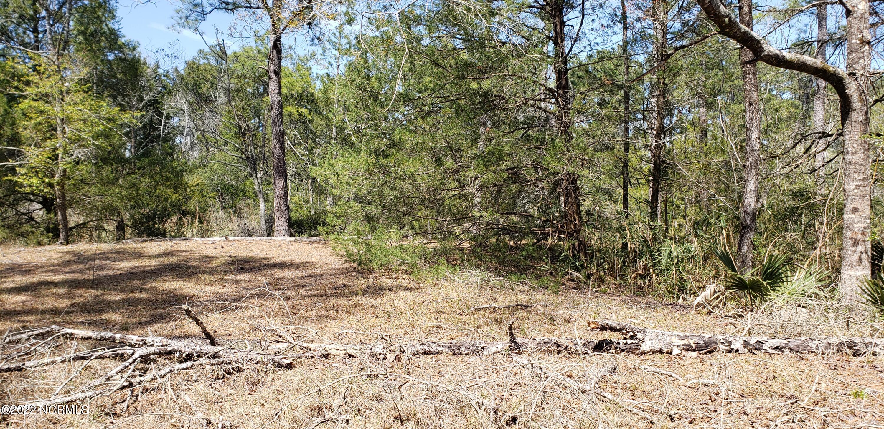 1337 Florence Road Merritt, NC 28556 - Photo 4 of 8 portion of lot