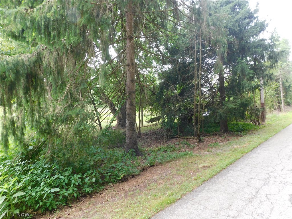 5531 Overton Road Wooster, OH 44691 - Photo 11 of 40 View of street