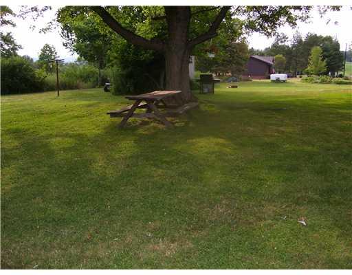 775 Pleasant Hill Road Friedens, PA 15541 - Photo 12 of 15 Yard/Garden. Spacious yard