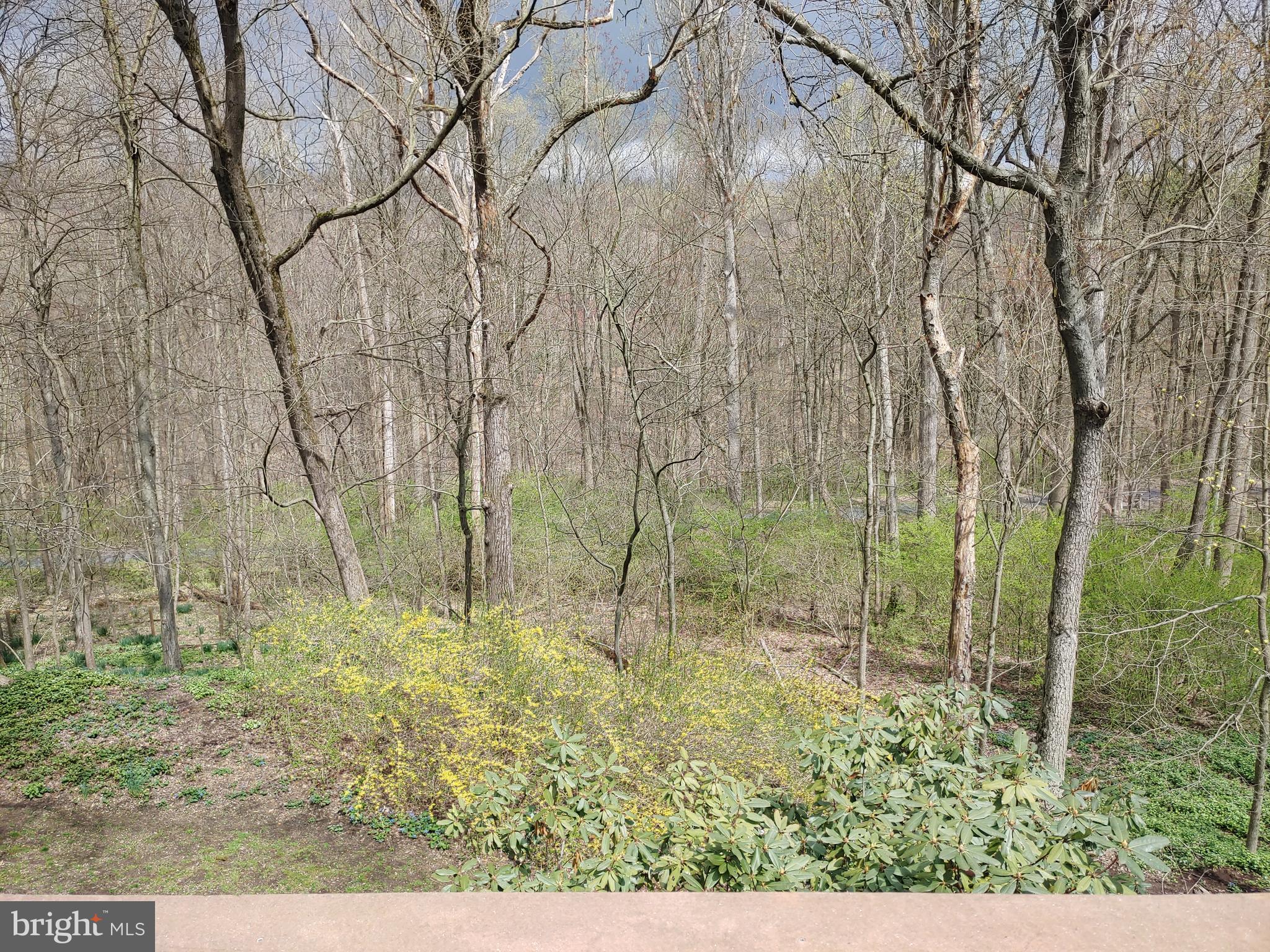 229 Valley Road Mount Gretna, PA 17064 - Photo 17 of 47 Gallery Image 17