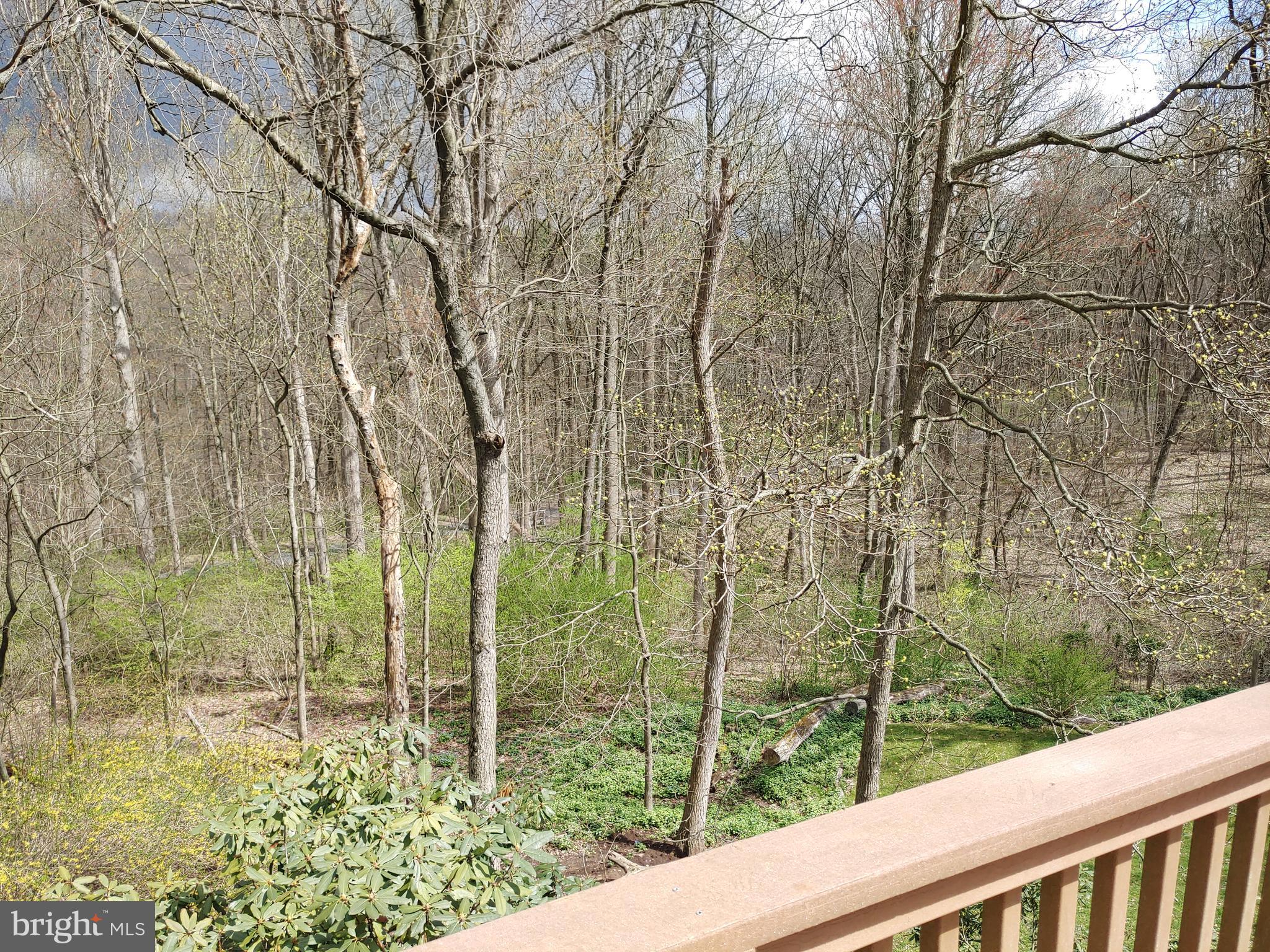 229 Valley Road Mount Gretna, PA 17064 - Photo 18 of 47 Gallery Image 18