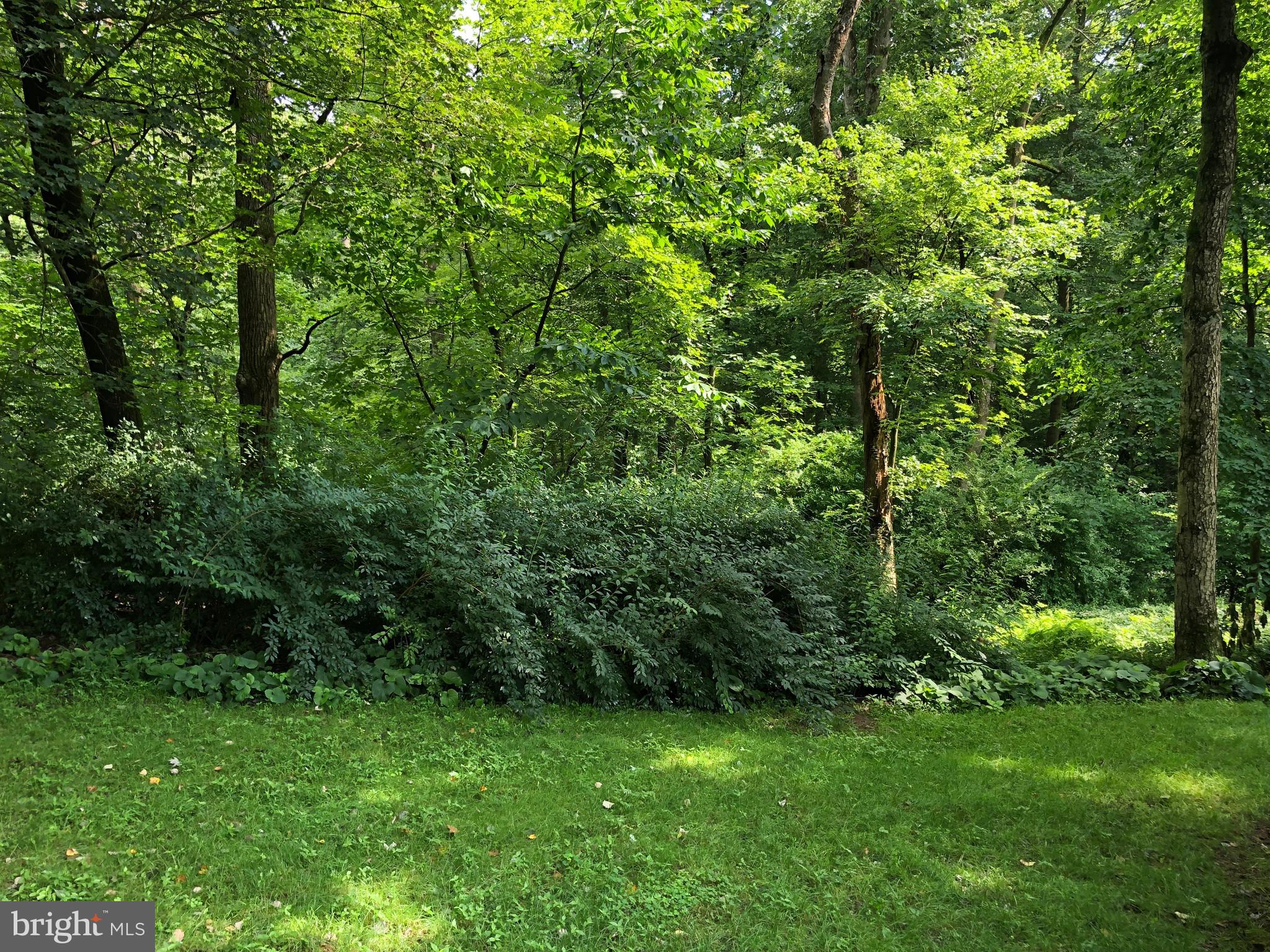 229 Valley Road Mount Gretna, PA 17064 - Photo 24 of 47 Gallery Image 24