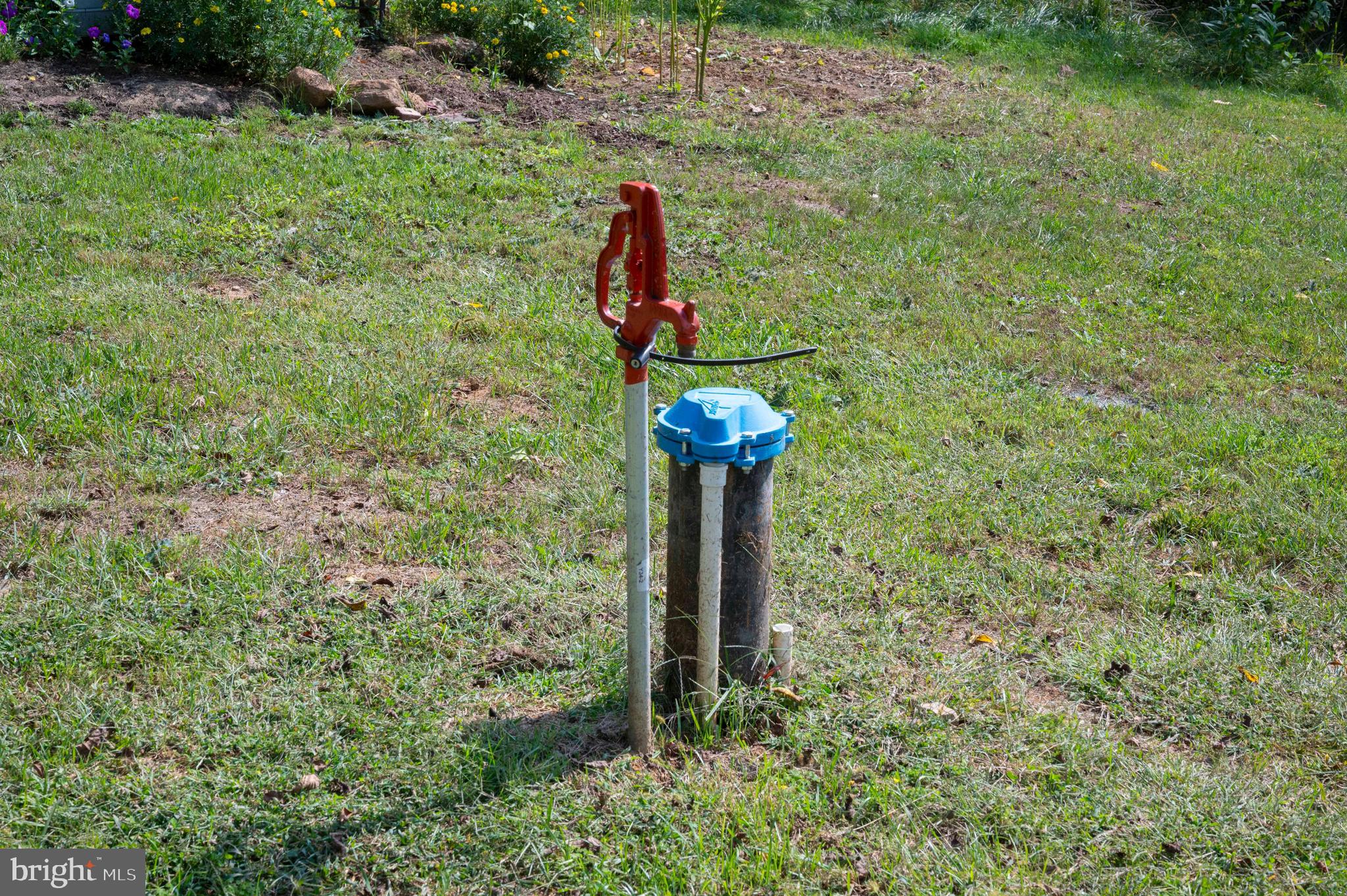 2002 Balkamore Hill Road Stanley, VA 22851 - Photo 32 of 36 a fire hydrant in the middle of a forest