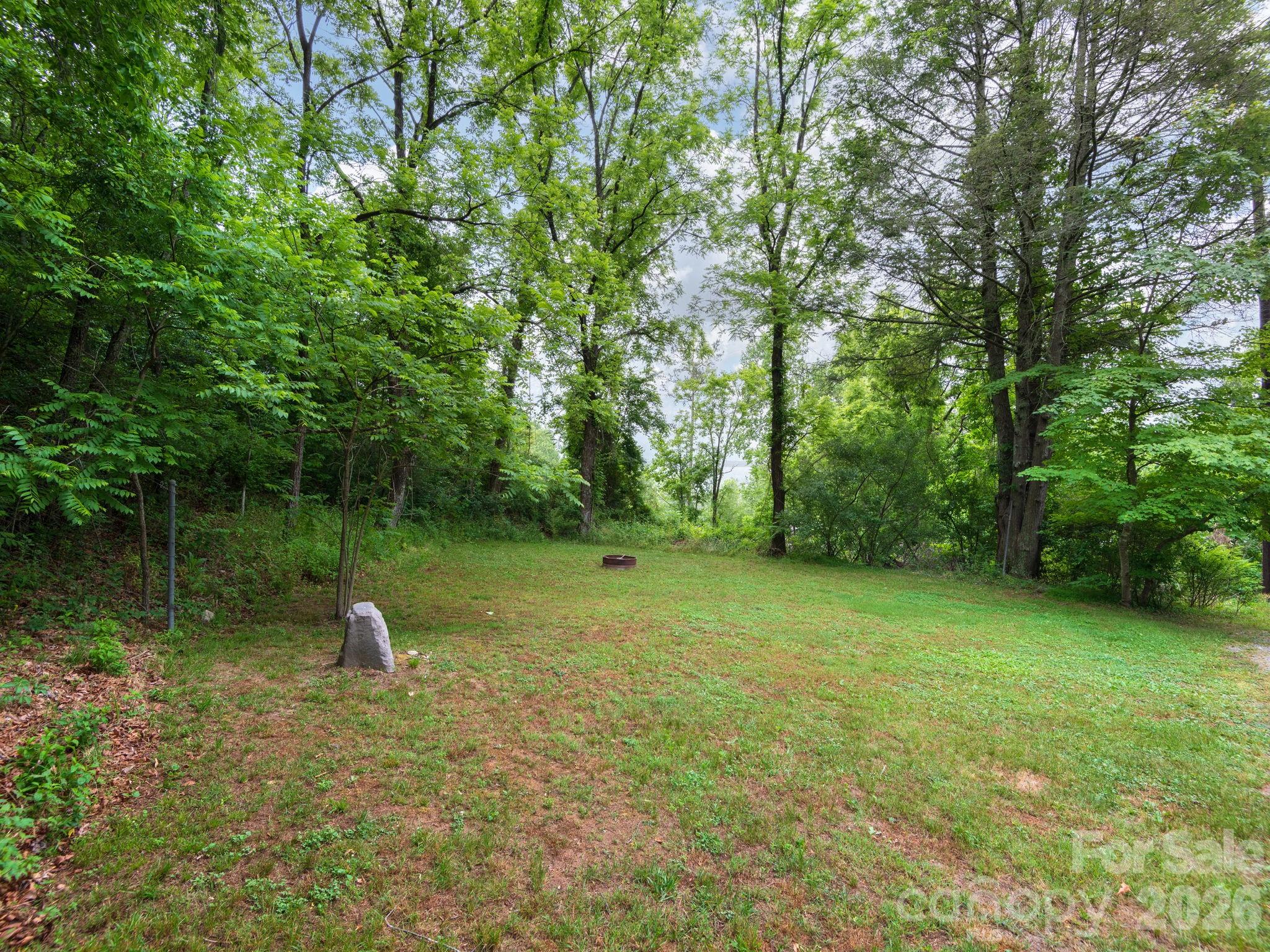 24 Piney Ridge Mountain Road Zirconia, NC 28790 - Photo 16 of 22