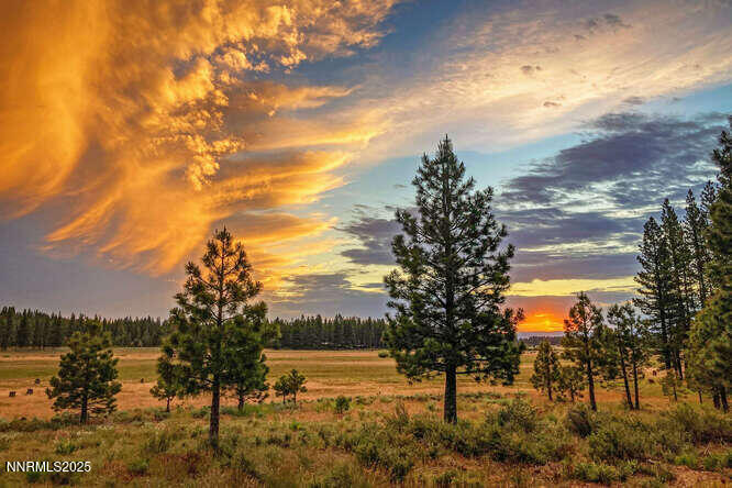 1015 Mountain Quail Road Calpine, CA 96124 - Photo 30 of 34 a view of lake view and mountain