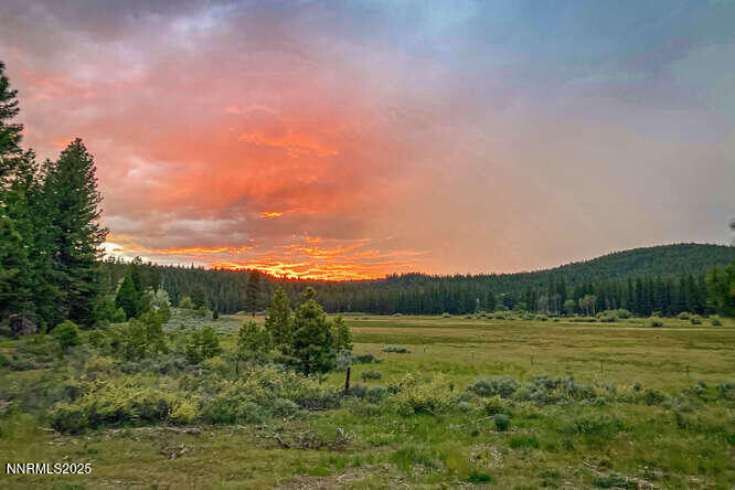 1015 Mountain Quail Road Calpine, CA 96124 - Photo 32 of 34 a view of a field with a tree