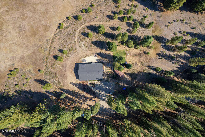 1015 Mountain Quail Road Calpine, CA 96124 - Photo 33 of 34 a plant that is sitting in a forest