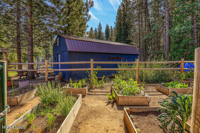 1015 Mountain Quail Road Calpine, CA 96124 - Photo 6 of 34 a view of a house with garden