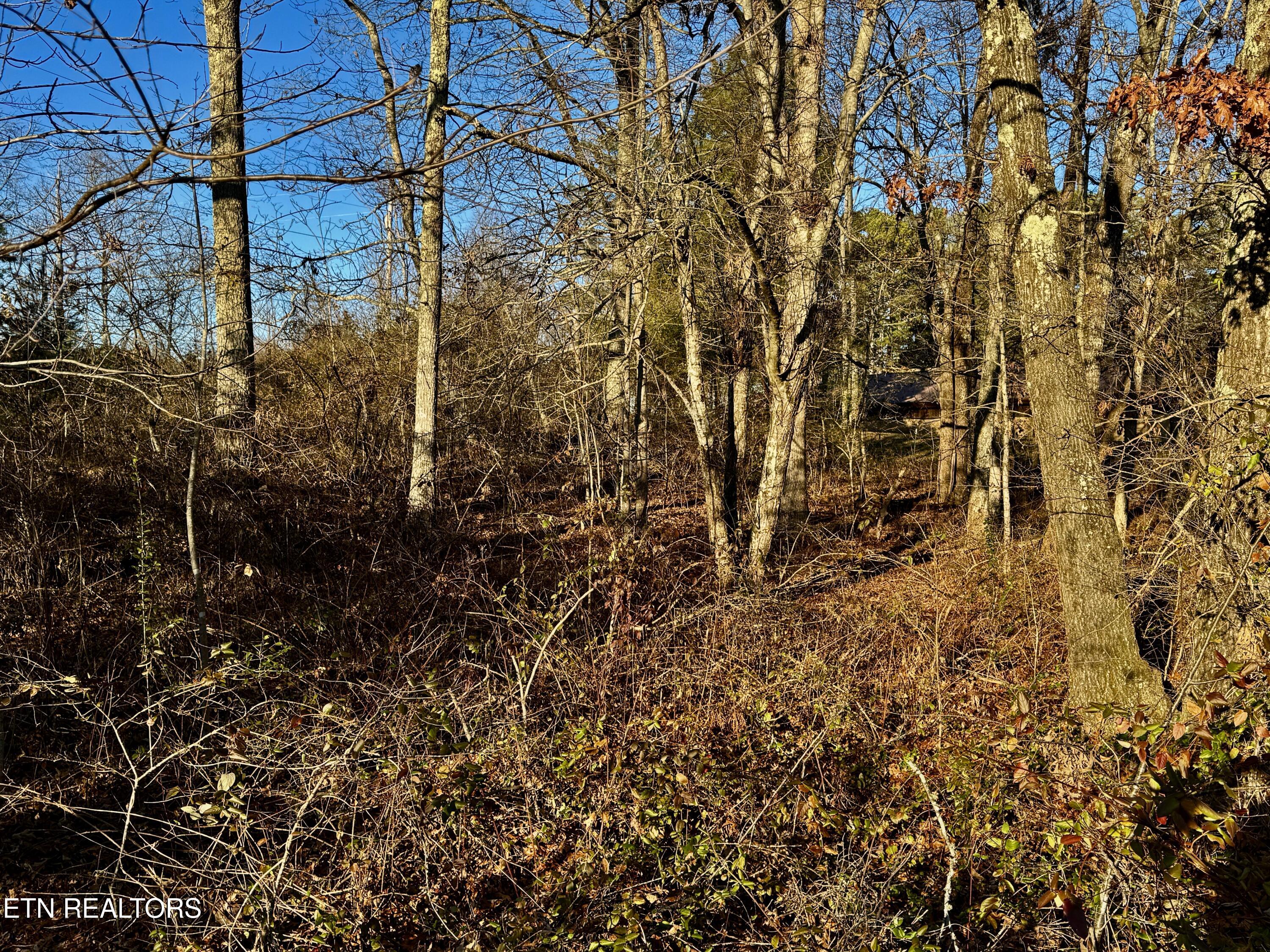 4 Four Mile Creek Road Deer Lodge, TN 37726 - Photo 2 of 11 2-2