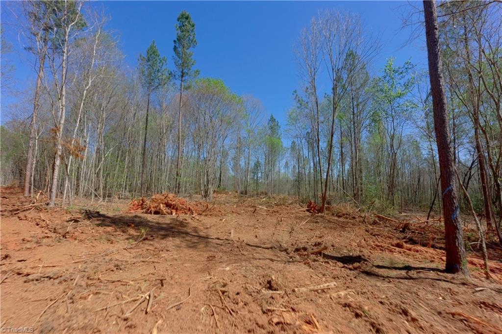 3 Alexander Farm Road Harmony, NC 28634 - Photo 12 of 27
