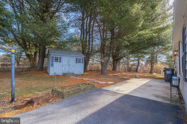 a view of yard with tree