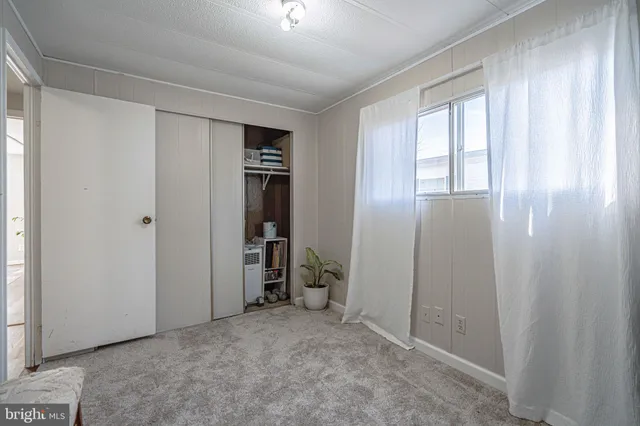 a view of large yard with large trees