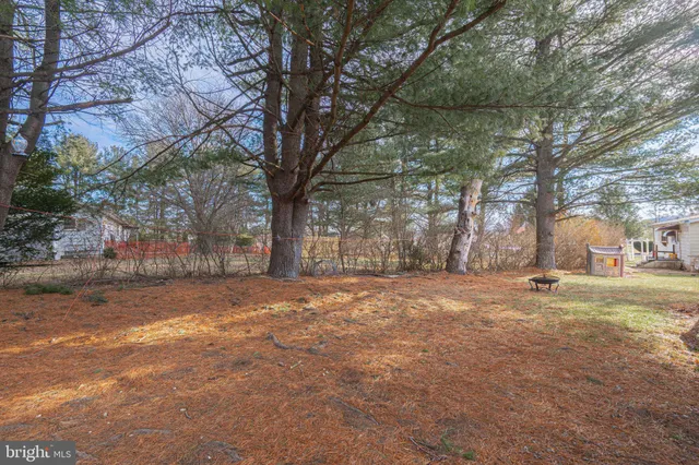 a backyard of a house with lots of green space
