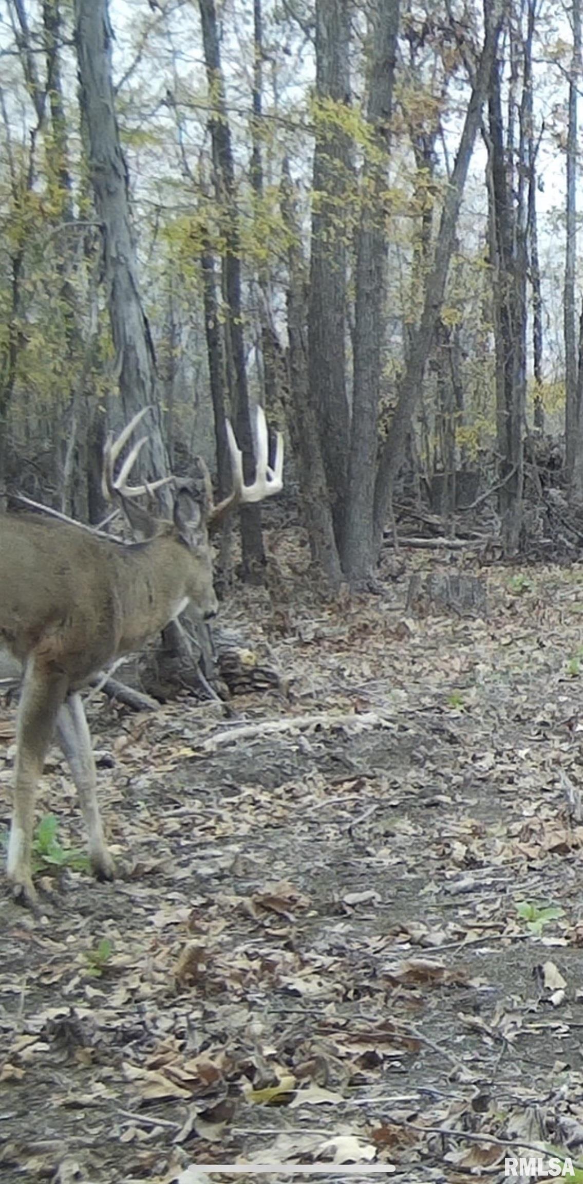 0 Au Vase Road Carterville, IL 62918 - Photo 9 of 12