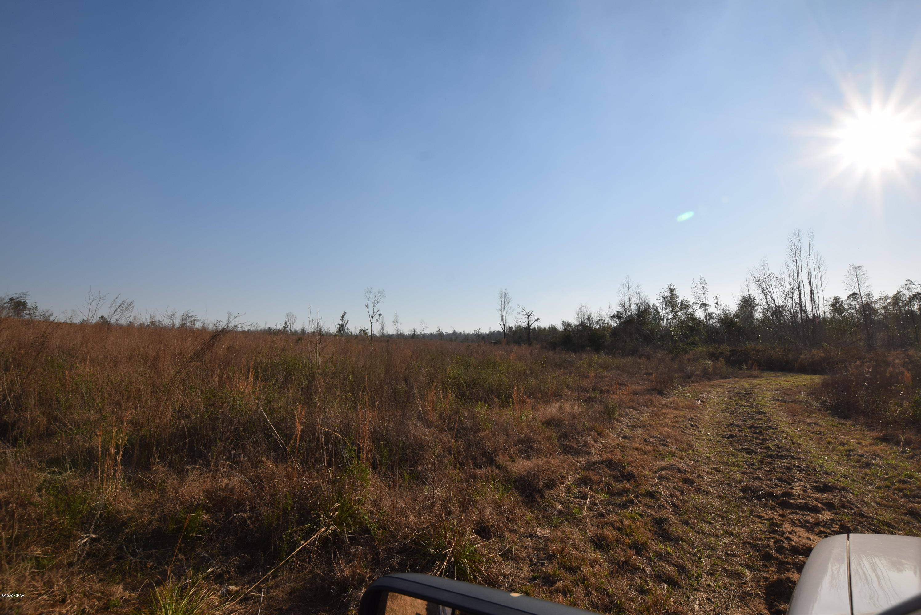 1416 Mill Road Alford, FL 32420 - Photo 24 of 60