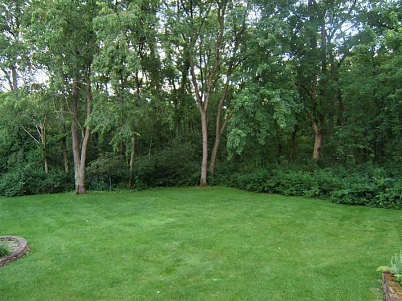 124 Ramage Road Pittsburgh, PA 15214 - Photo 16 of 19 Exterior Back. alittle over 1.5 acres wooded