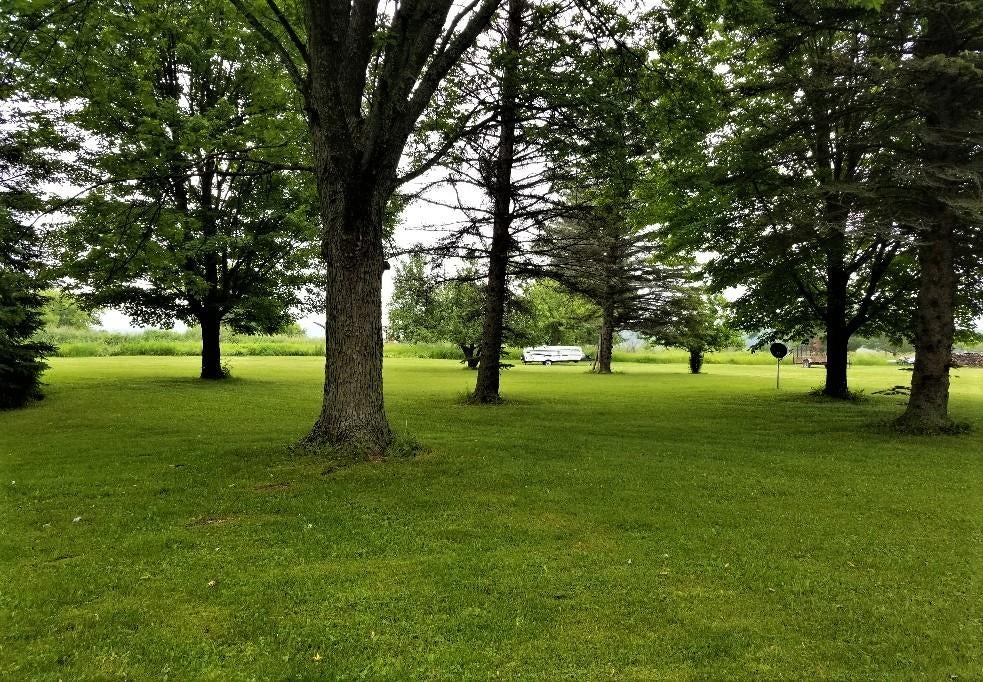 1048 East Scott Road Ossineke, MI 49766 - Photo 19 of 22 Gallery Image 19