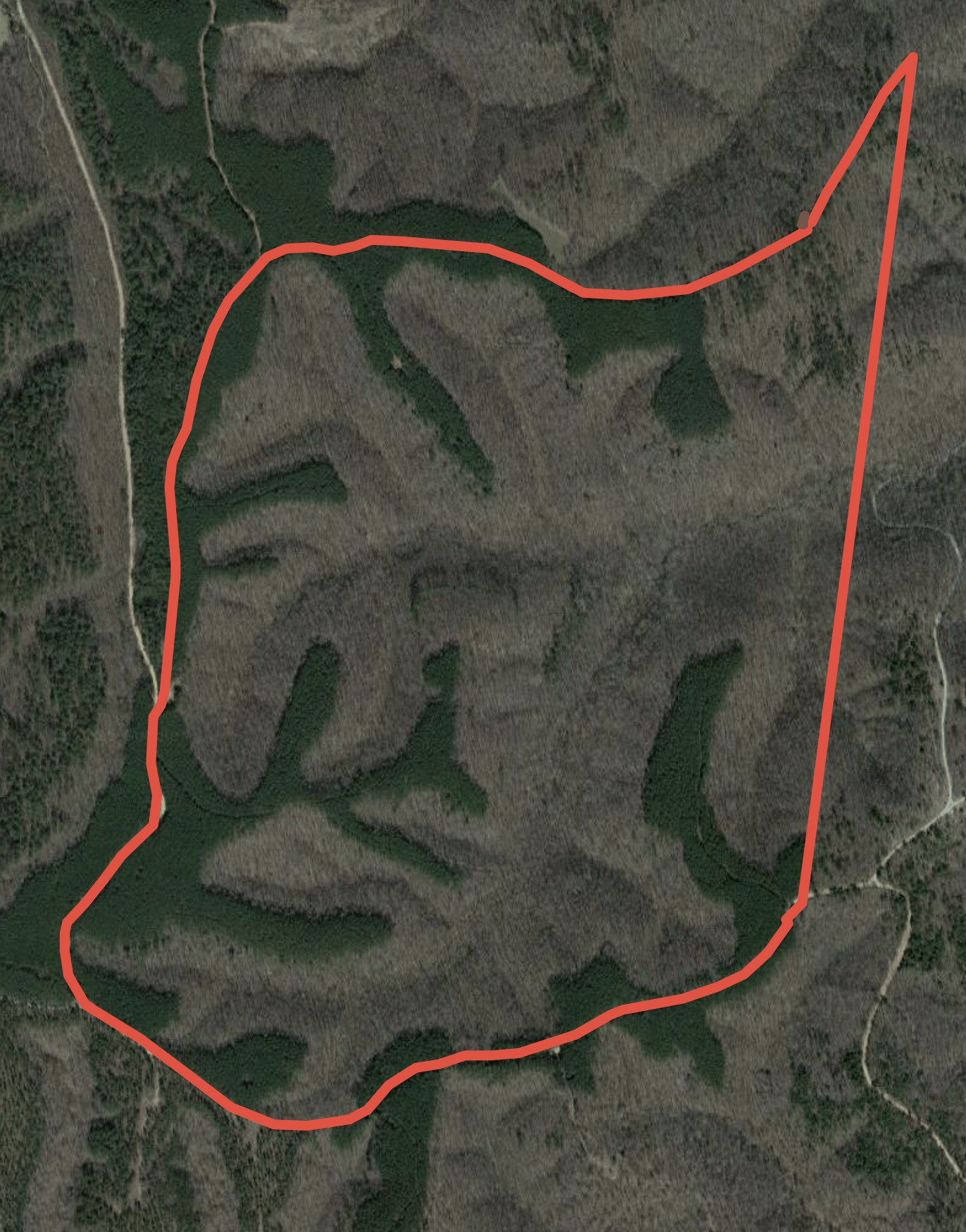 0 Salem Road Centerville, TN 37033 - Photo 5 of 7