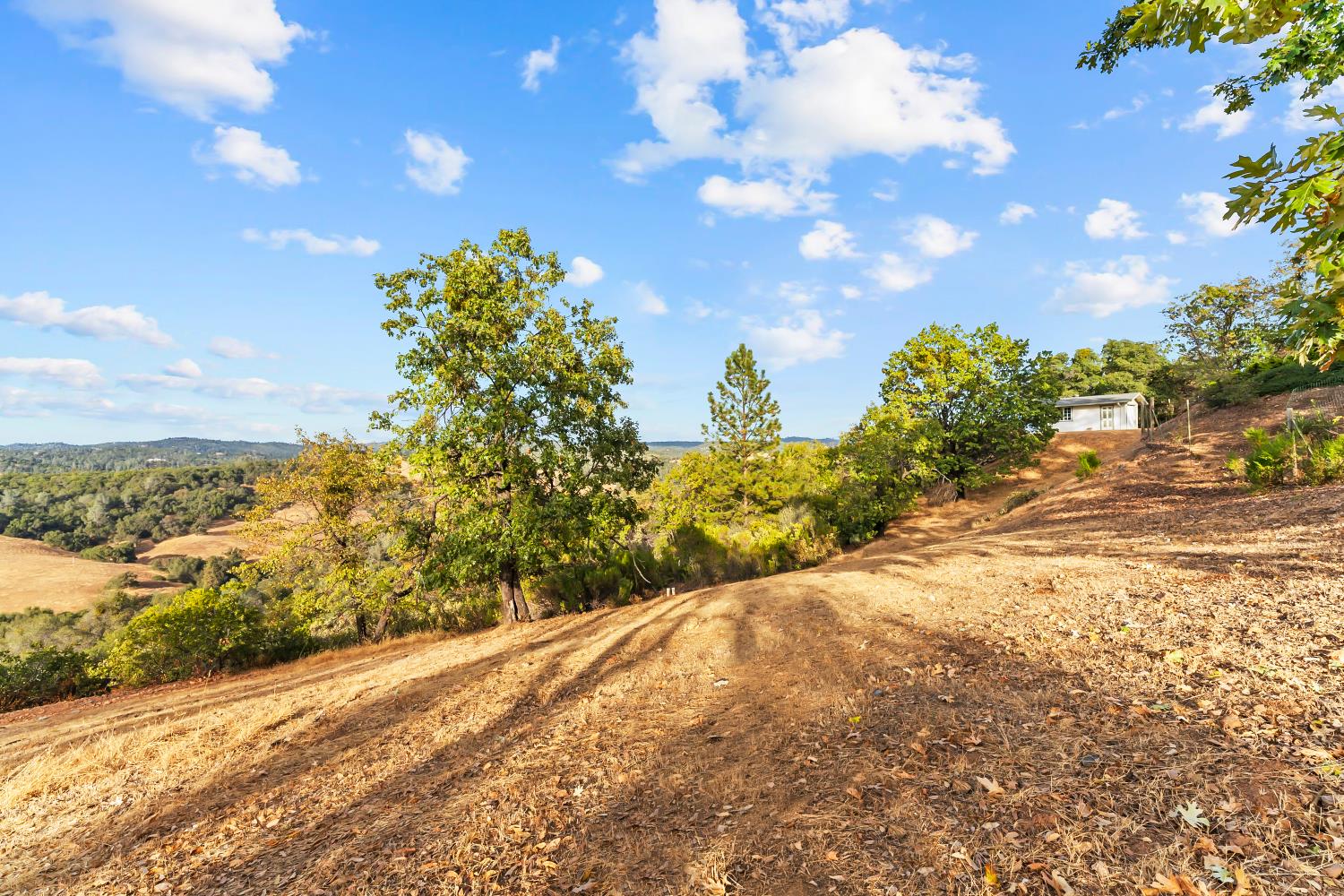 16029 Butte Mountain Road Jackson, CA 95642 - Photo 49 of 59 Gallery Image 49