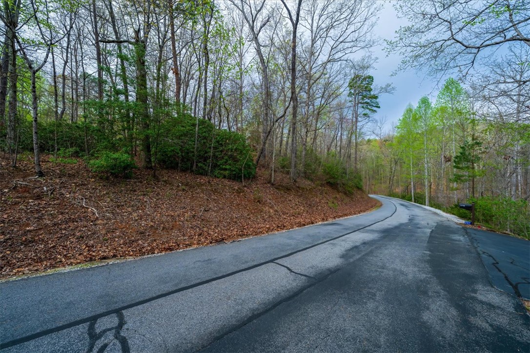 210 Talons Ridge Road Seneca, SC 29672 - Photo 6 of 22 Gallery Image 6