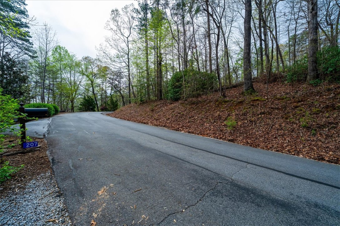 210 Talons Ridge Road Seneca, SC 29672 - Photo 7 of 22 Gallery Image 7