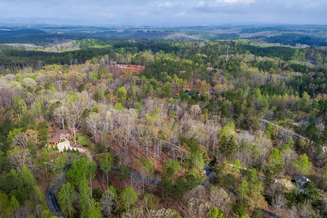 210 Talons Ridge Road Seneca, SC 29672 - Photo 9 of 22 Gallery Image 9