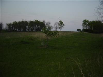 3234 Millersburg Ruddles Mill Road Paris, KY 40361 - Photo 5 of 7 Photo 5