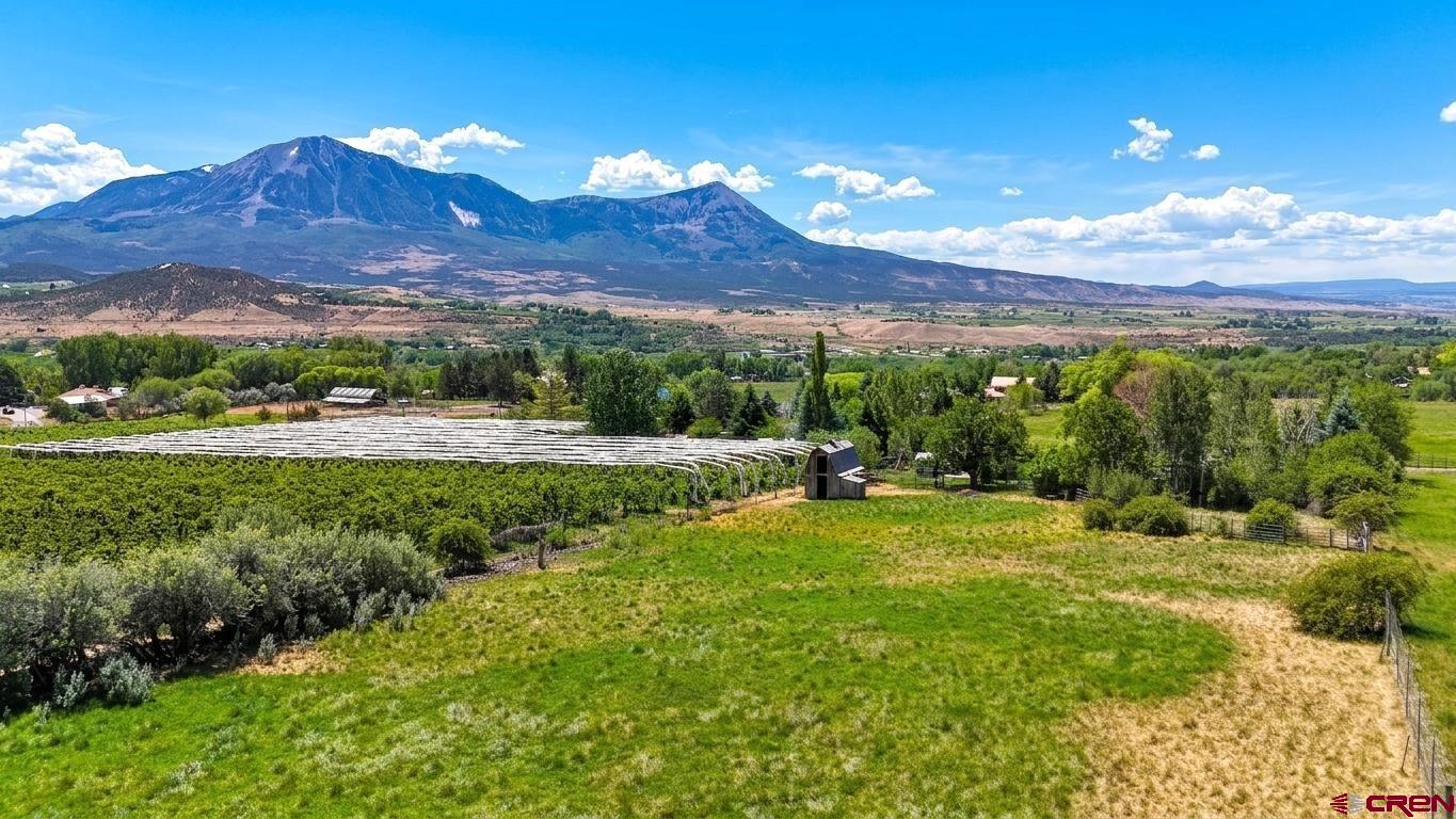 39389 Pitkin Road Paonia, CO 81428 - Photo 40 of 42