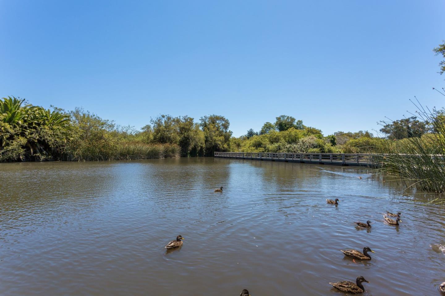 102 Tree Frog Lane Santa Cruz, CA 95060 - Photo 46 of 51 a view of a lake with houses