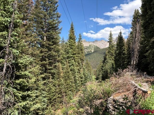 10.33-ac 10.33-ac Imogene Road Ridgway, CO 81432 - Photo 6 of 22