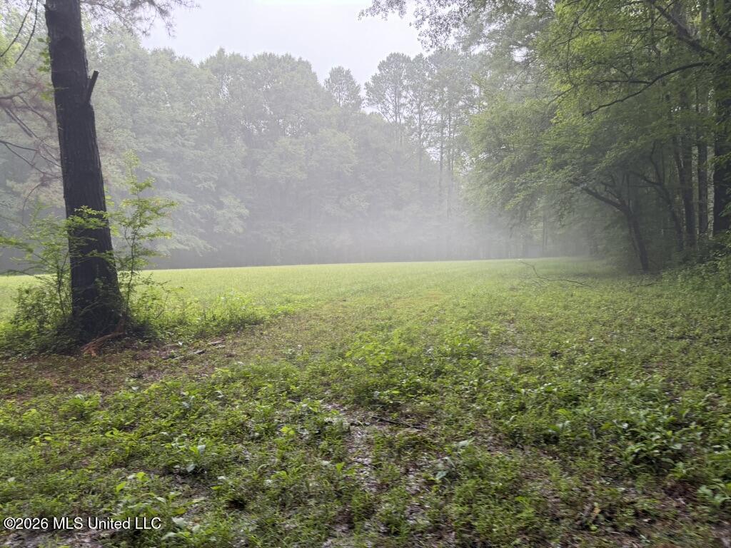 Meredith Road Collinsville, MS 39325 - Photo 5 of 6 D73C6421-1375-4059-92FF-BDFDB6FD7B79_1_1