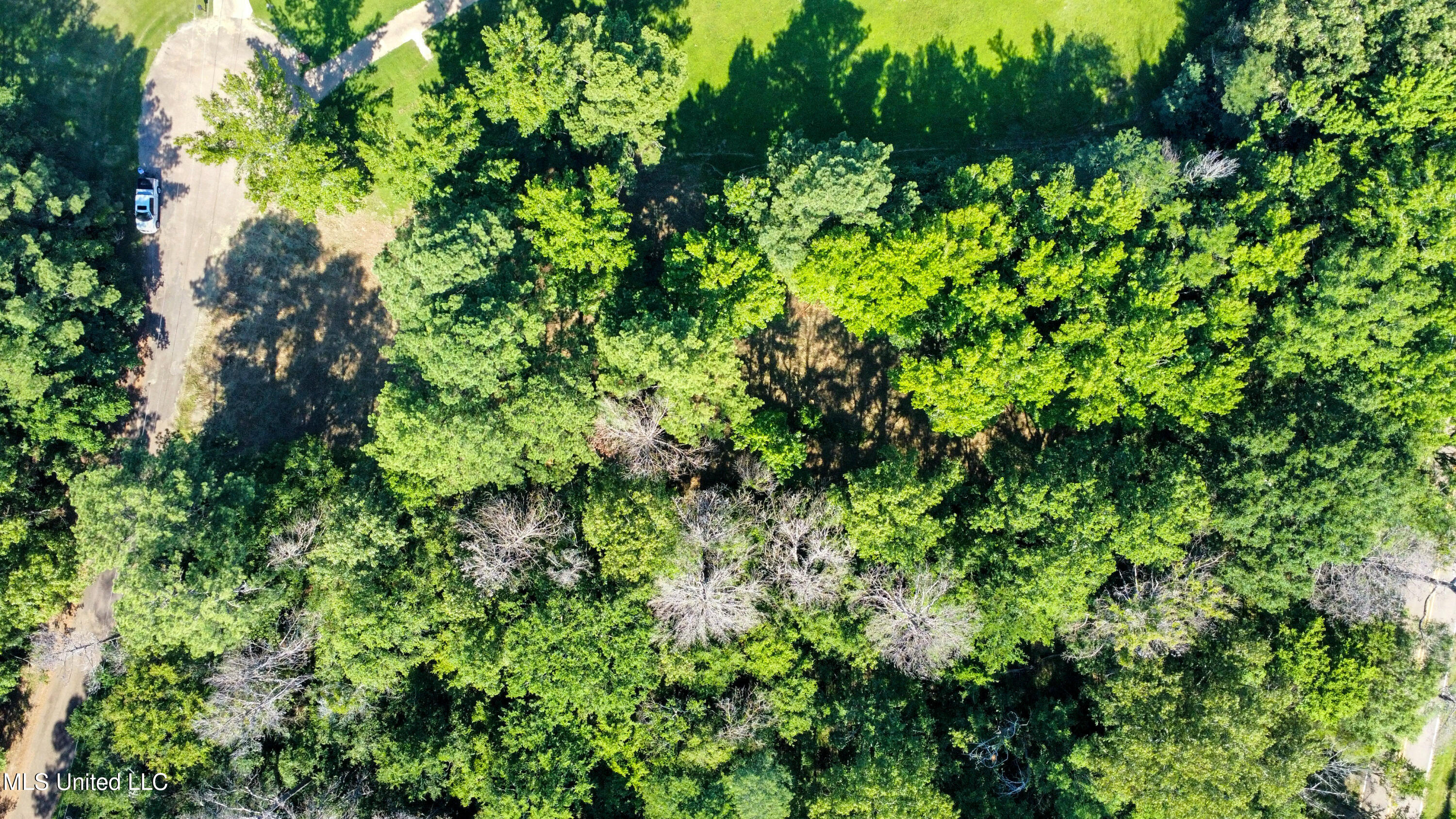 dji_fly_20240712_094818_515_172079573178