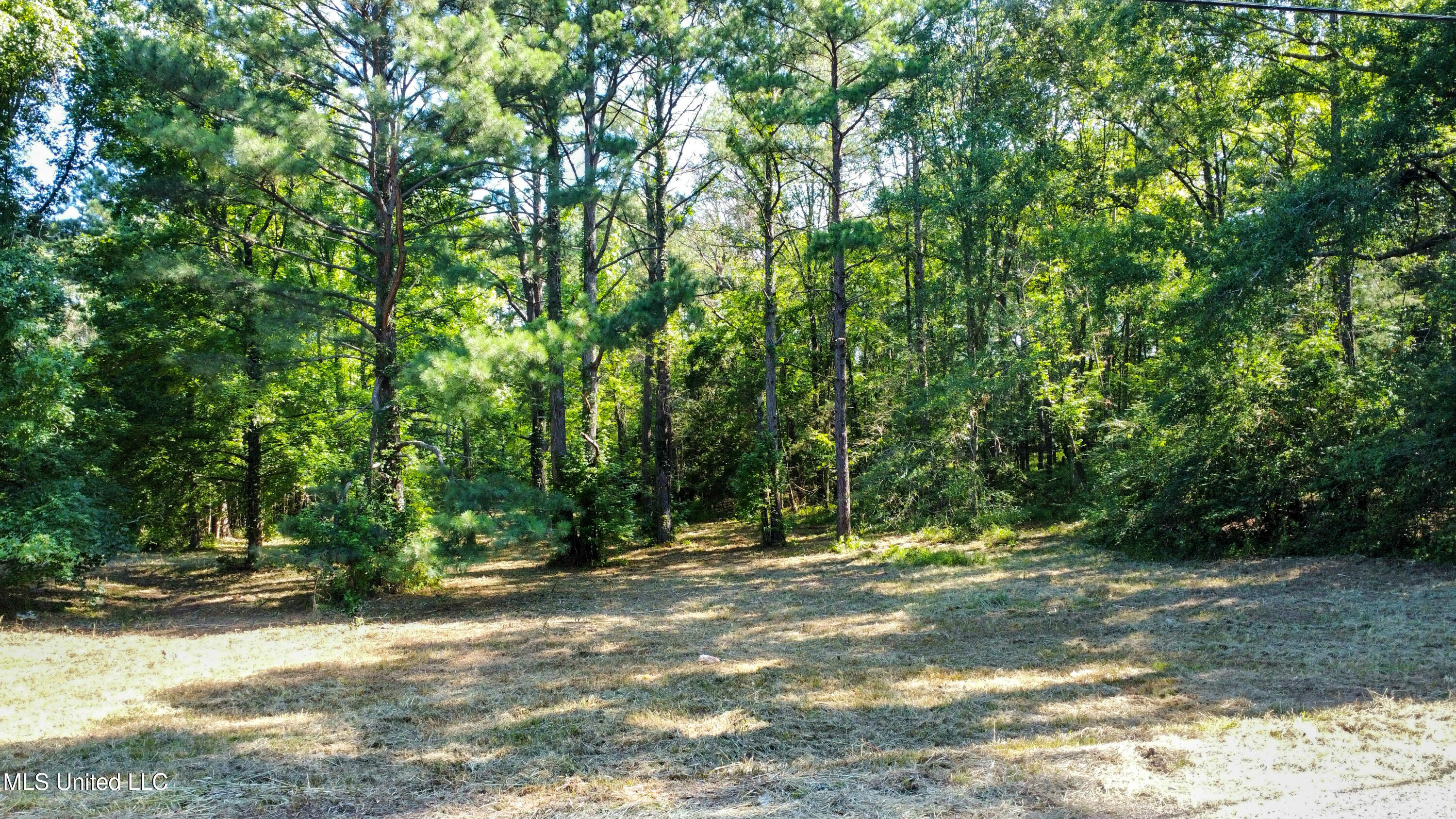 0 Lakeridge Cove Clinton, MS 39056 - Photo 4 of 5 dji_fly_20240712_094554_513_172079556352