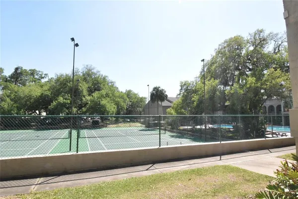 a view of a tennis court with a large tree in the background