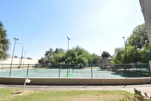 a view of a yard with a large tree