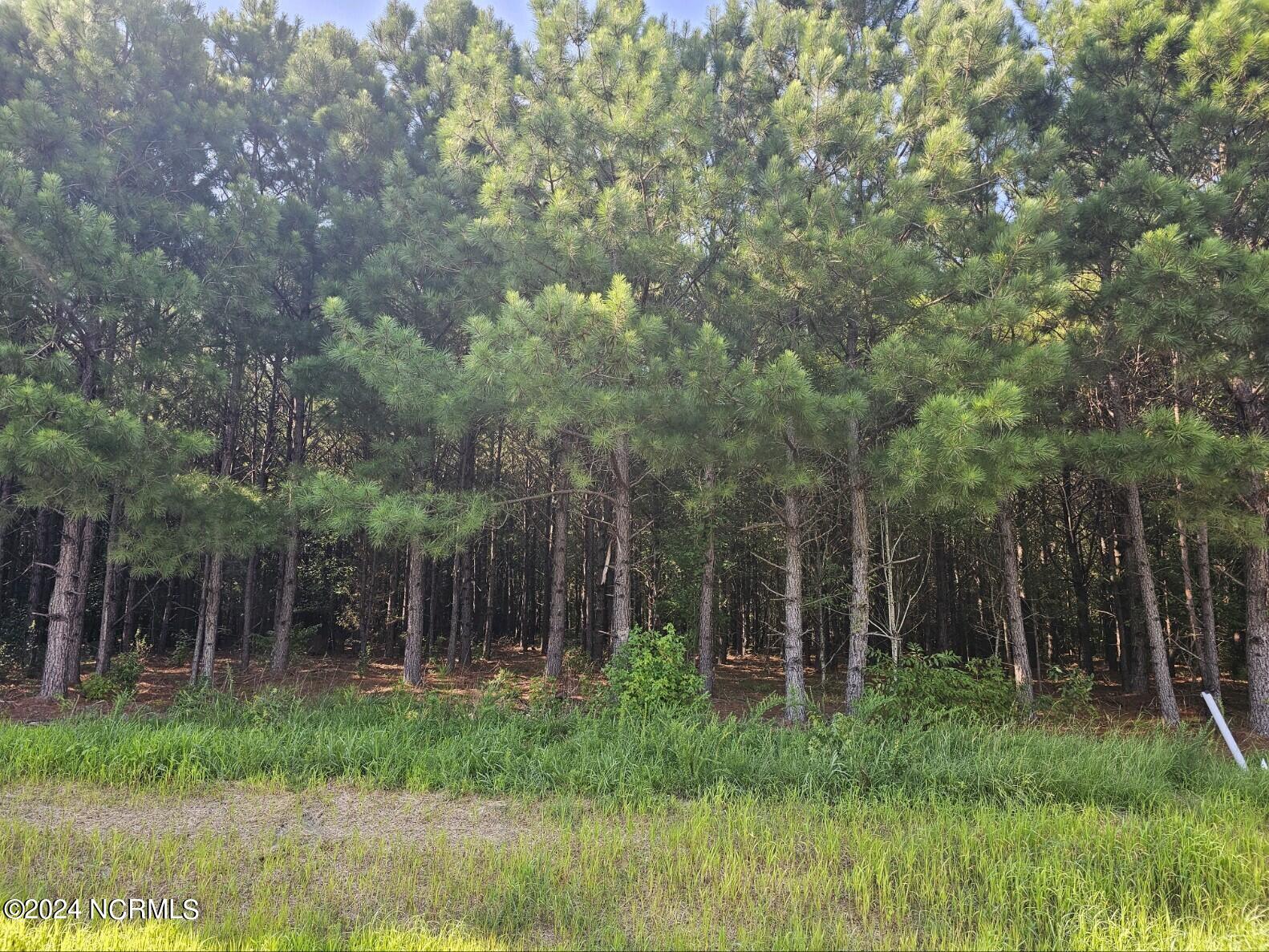 101 Abbey Road Vanceboro, NC 28586 - Photo 1 of 5 Lot 6 Durgantown