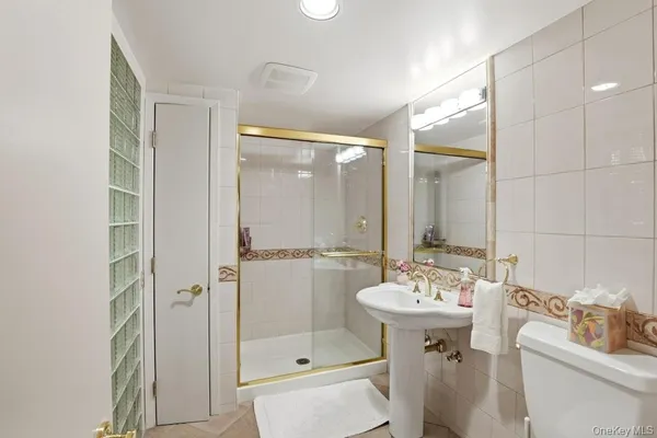 a view of a garden with plants