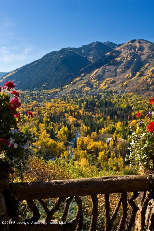 10 Ridge Place Aspen, CO 81612 - Photo 30 of 37 a view of a large tree