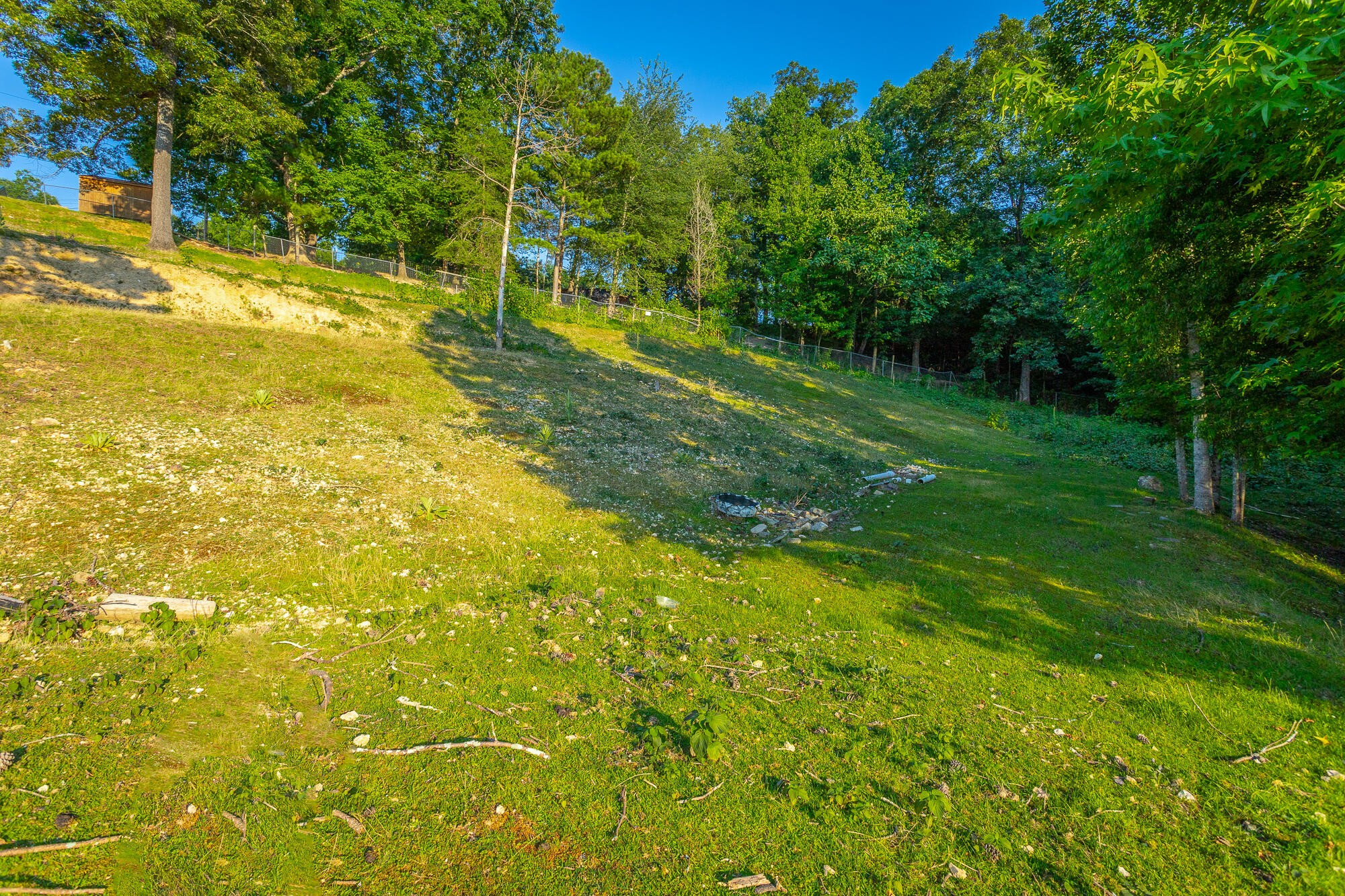 1240 Goose Pond Road Whitwell, TN 37397 - Photo 94 of 100 Gallery Image 94