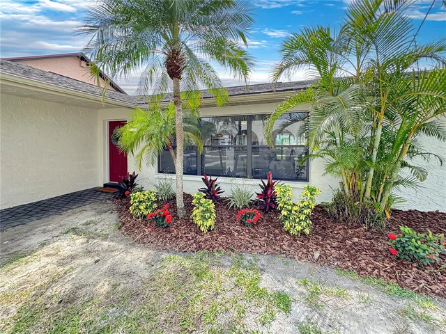 a view of a potted plants in front of retail shop
