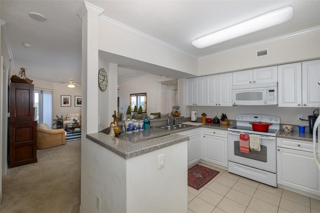 4516 Seagull Drive, Unit 413 New Port Richey, FL 34652 - Photo 8 of 59