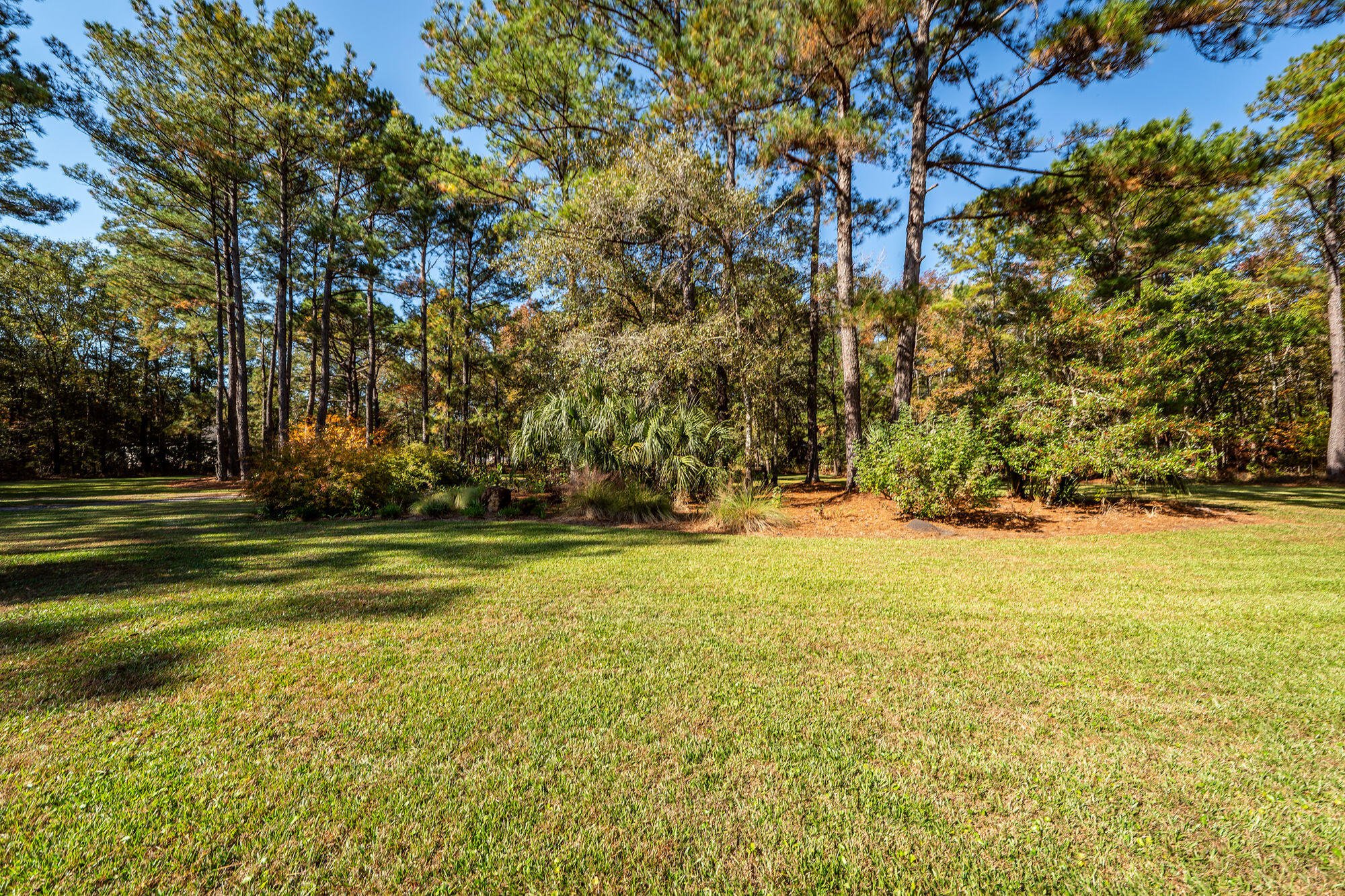 5950 Lowell Reed Road Ravenel, SC 29470 - Photo 102 of 120 99