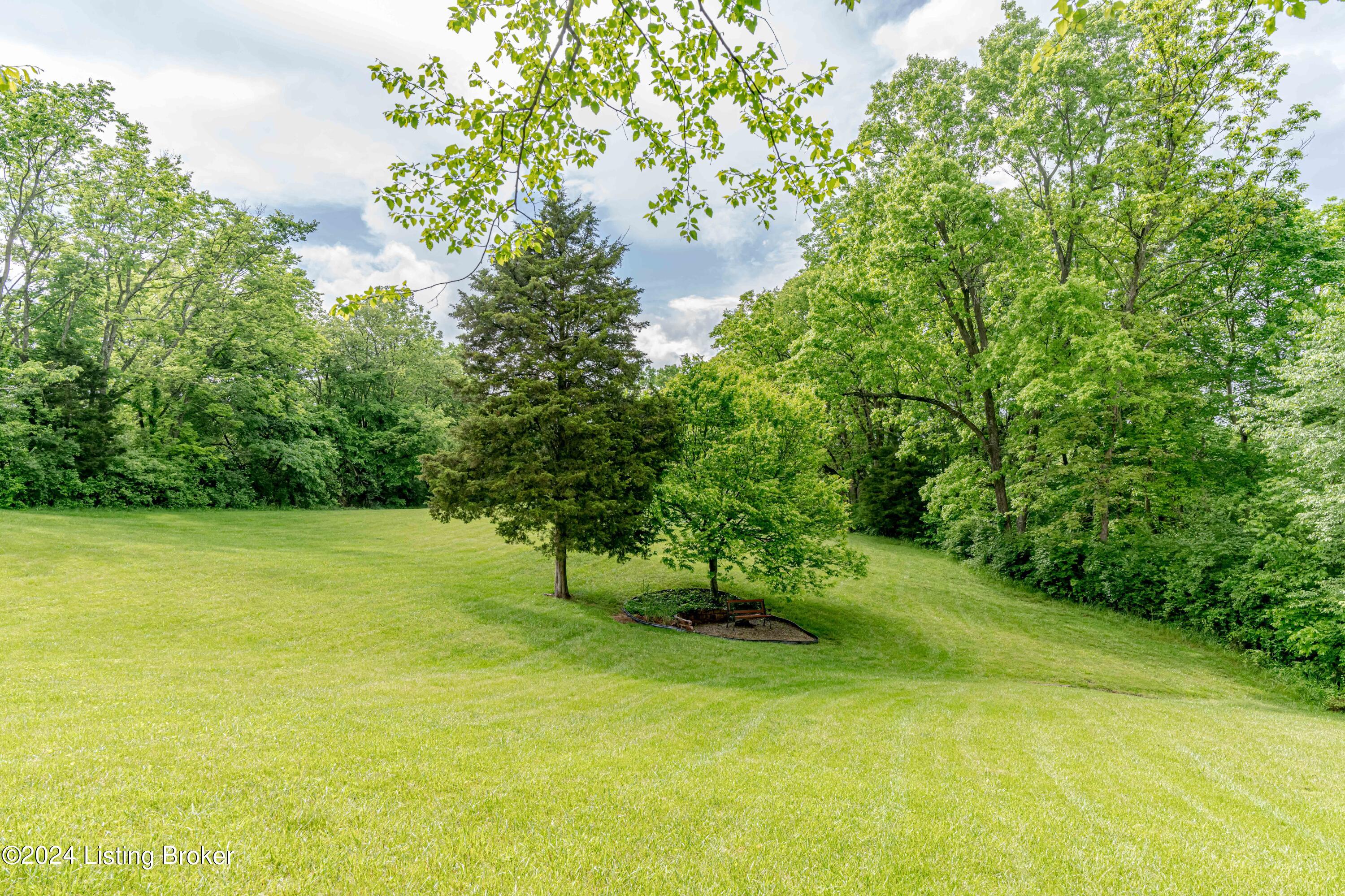 988 Radcliff Road Smithfield, KY 40068 - Photo 45 of 46 DSC09716